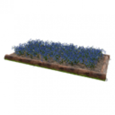 Lobelia Flower Bed, Log